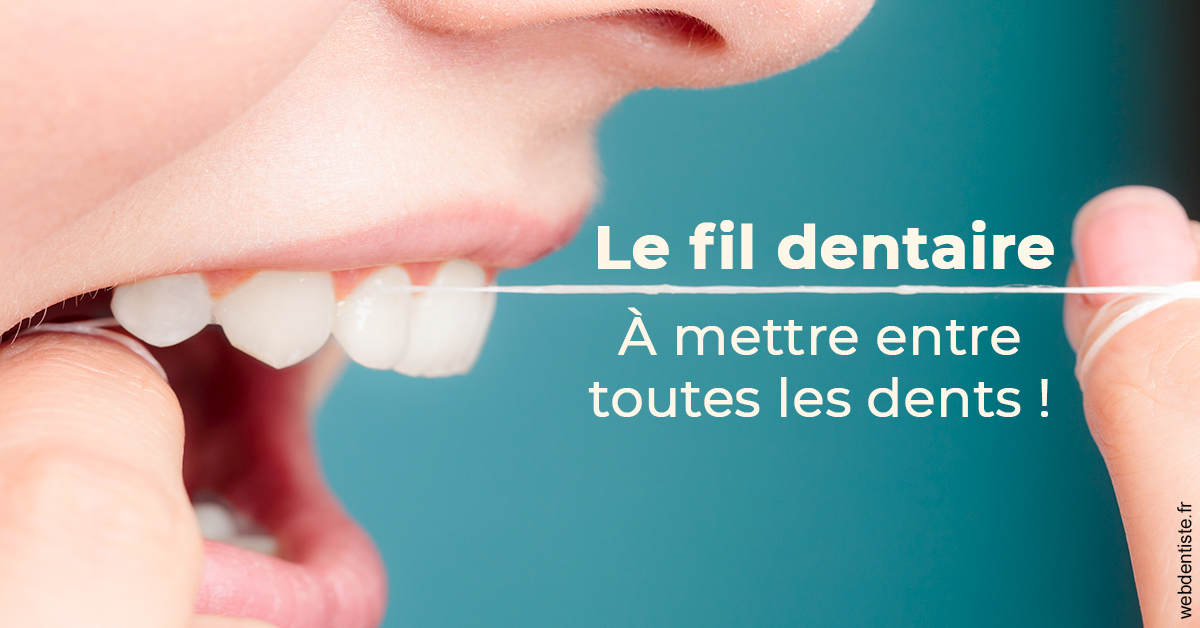 https://dr-romain-gueudin.chirurgiens-dentistes.fr/Le fil dentaire 2