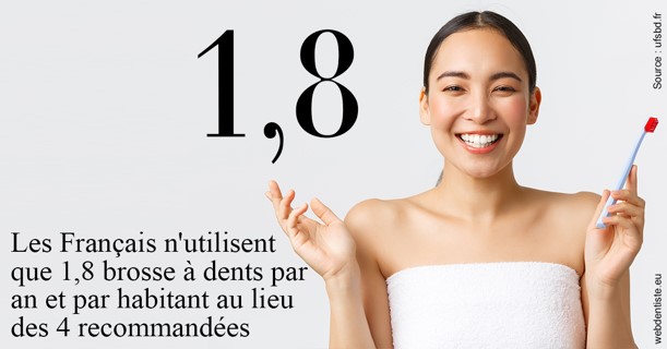 https://dr-romain-gueudin.chirurgiens-dentistes.fr/Français brosses