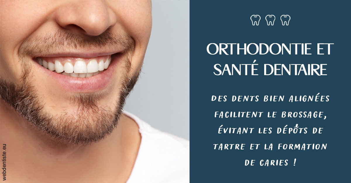 https://dr-romain-gueudin.chirurgiens-dentistes.fr/Orthodontie et santé dentaire 2