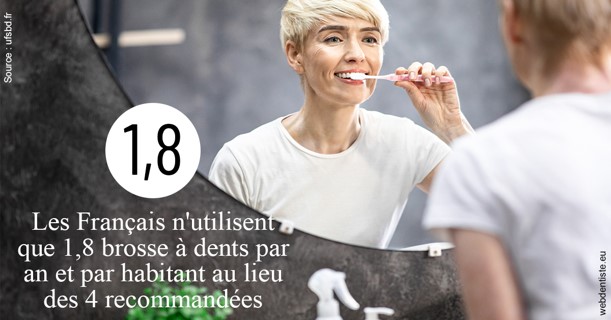 https://dr-romain-gueudin.chirurgiens-dentistes.fr/Français brosses 2