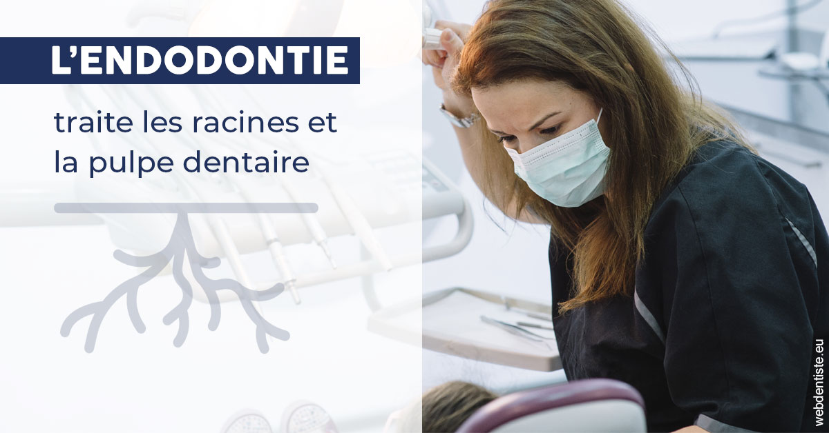 https://dr-romain-gueudin.chirurgiens-dentistes.fr/L'endodontie 1