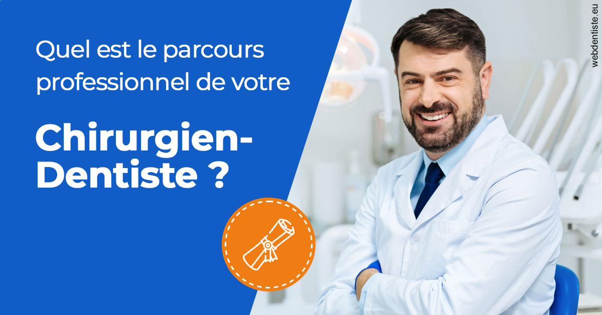 https://dr-romain-gueudin.chirurgiens-dentistes.fr/Parcours Chirurgien Dentiste 1