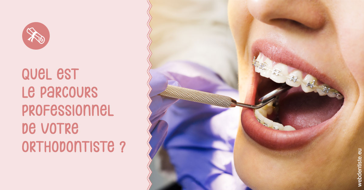 https://dr-romain-gueudin.chirurgiens-dentistes.fr/Parcours professionnel ortho 1