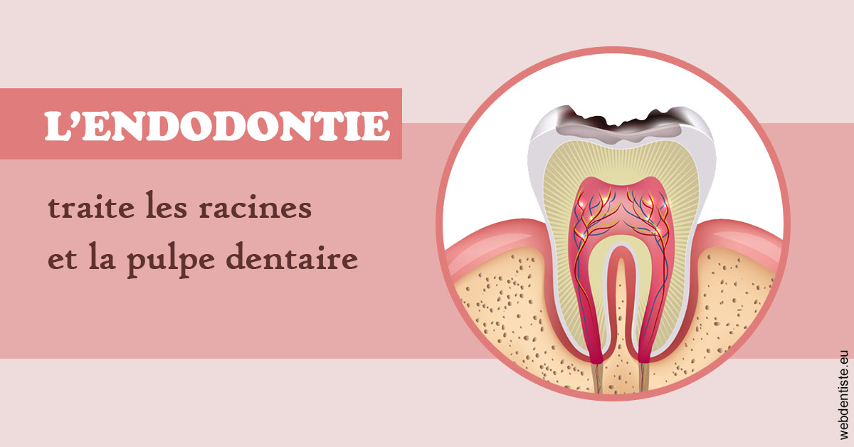 https://dr-romain-gueudin.chirurgiens-dentistes.fr/L'endodontie 2