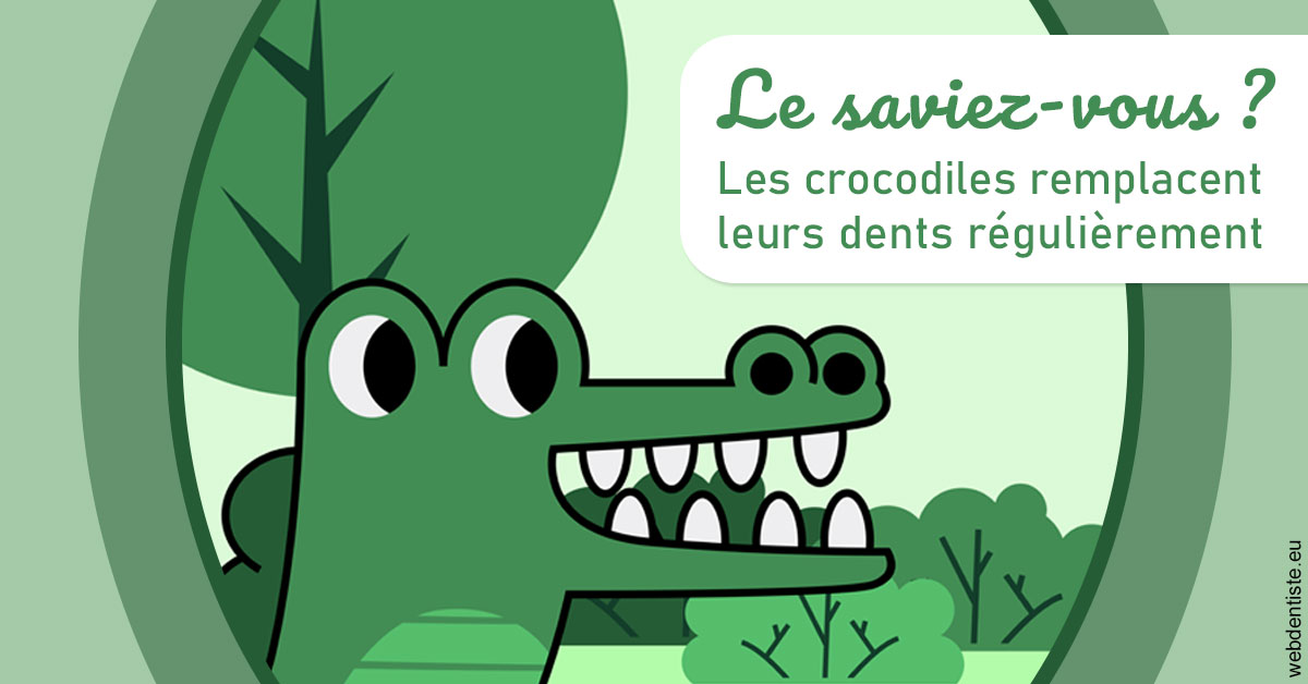 https://dr-romain-gueudin.chirurgiens-dentistes.fr/Crocodiles 2