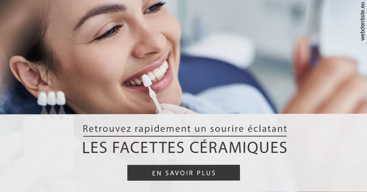 https://dr-romain-gueudin.chirurgiens-dentistes.fr/Les facettes céramiques 2