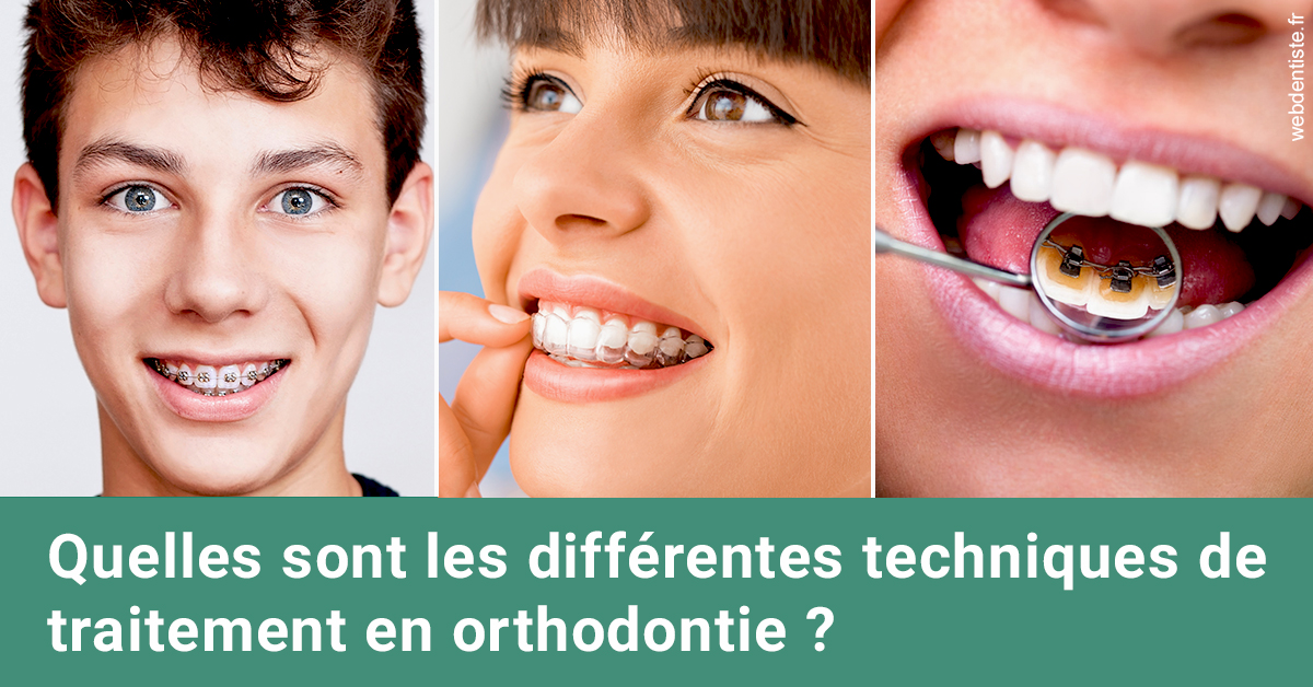 https://dr-romain-gueudin.chirurgiens-dentistes.fr/Les différentes techniques de traitement 2