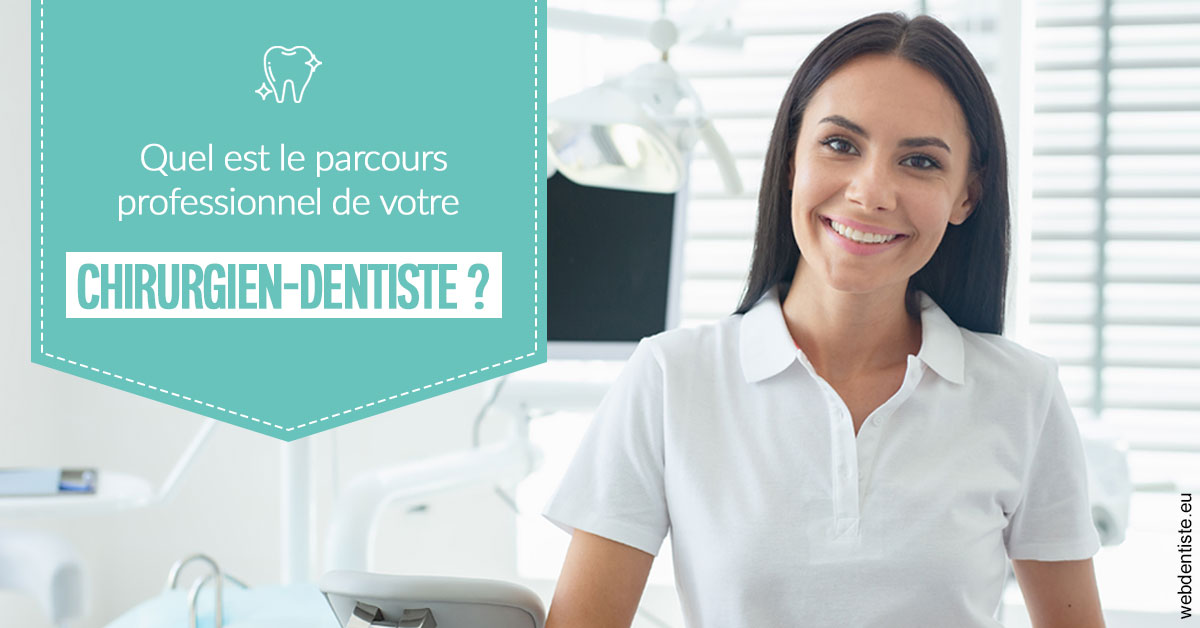 https://dr-romain-gueudin.chirurgiens-dentistes.fr/Parcours Chirurgien Dentiste 2