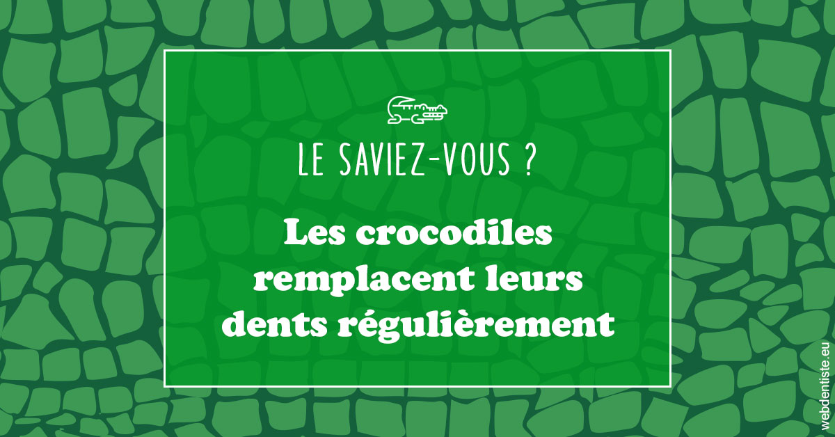 https://dr-romain-gueudin.chirurgiens-dentistes.fr/Crocodiles 1