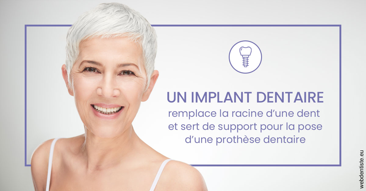 https://dr-romain-gueudin.chirurgiens-dentistes.fr/Implant dentaire 1